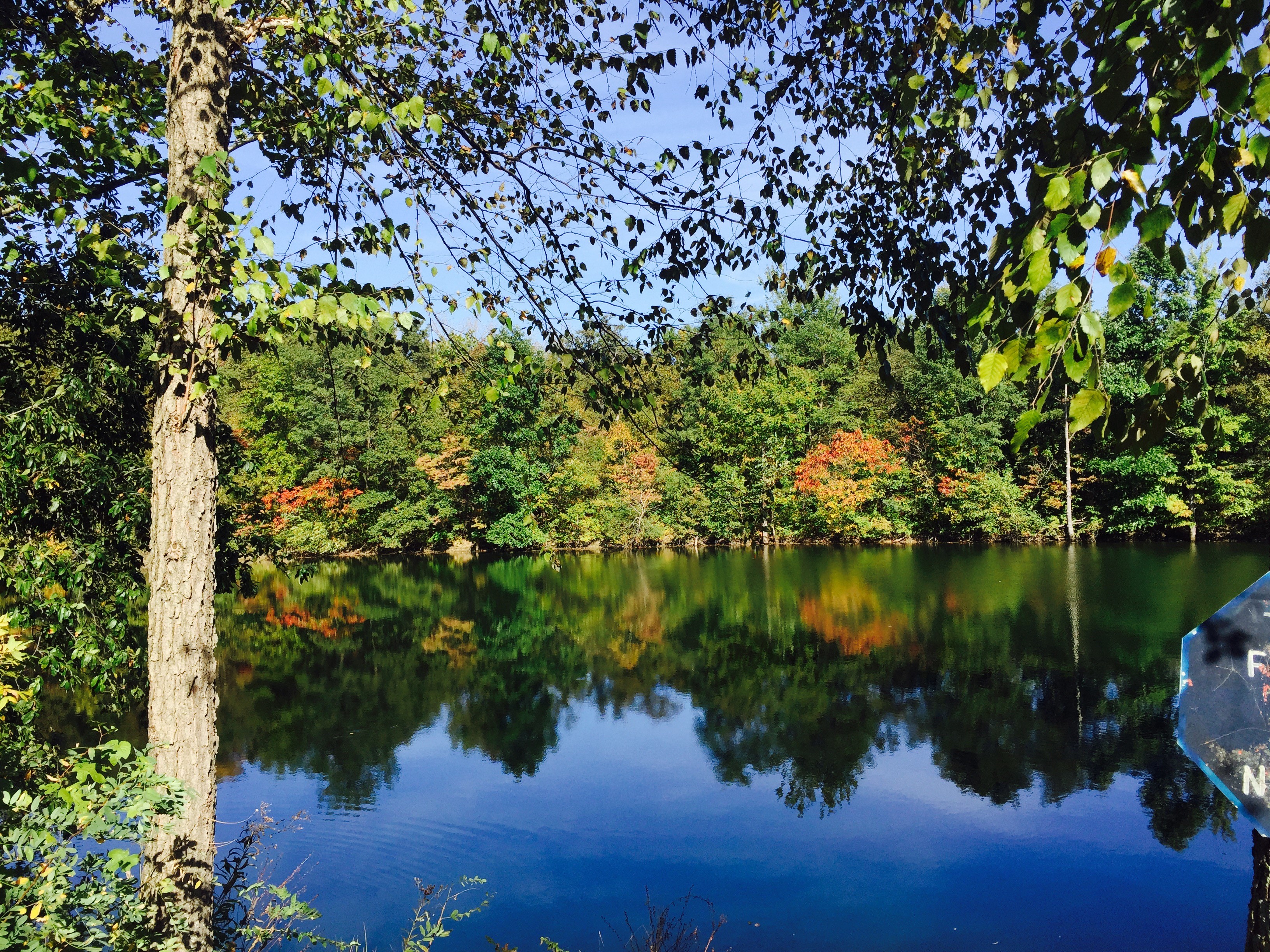 Sunset Park Lake